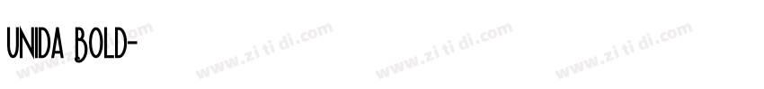 Unida Bold字体转换